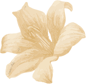 sanga sanga terapis flower